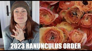 2023 Ranunculus Order : TWICE the Space to Fill: Flower Hill Farm