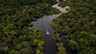 Staaten des Amazonas-Gebiets wollen gegen Abholzung des Regenwaldes vorgehen