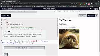 Learn HTML By building a cat photo app : Step - 14