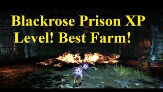 ESO BEST XP Farm Blackrose Prison Two Rounds