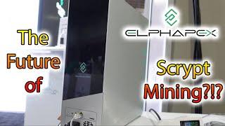 Elphapex interview - Scrypt ASIC Miners - Mining Disrupt 2024