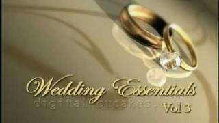 Wedding Animations, Intros, Transitions by Digital Hotcakes Vol 3