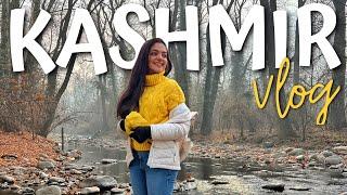 Kashmir Vlog | Ahaana Krishna