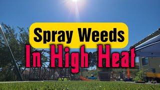 Weed Killer Sprays In The Summer Heat & Project Lawn Update (Spot Spraying Weeds in Hot Weather)