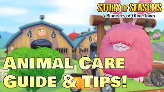 How to Unlock All Animals + Animal Care Tips! Story of Seasons Pioneers of Olive Town