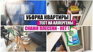 VLOG | УБОРКА КВАРТИРЫ | ЧЕМ Я УБИРАЮ ДОМ | КОТ - ТЕРРОРИСТ