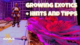 How to grow red Exotics plants + hints and tips