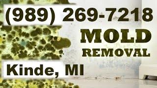 Mold Removal Kinde MI (989) 269-7218 | Mold Remediation Kinde Michigan