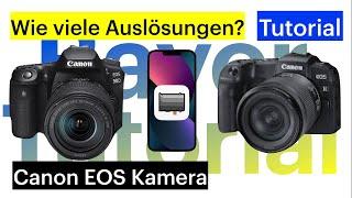 Canon Kamera (z.B. Canon EOS RP, R, R6, R5, R3 und EOS 90D) Auslösungen auslesen Tutorial