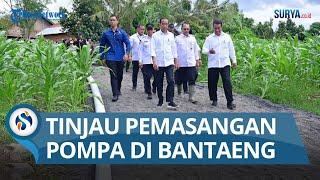 Tinjau Pemasangan Pompa di Bantaeng Sulsel, Jokowi Harap Panen Bisa Lebih dari Sekali