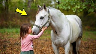 A girl saved a dying foal. This is how he repaid her two years later!