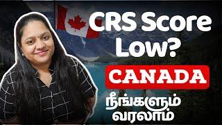 Come to Canada with a low CRS score | Category Based Draws | Canada Tamil PR Immigration Update 2024