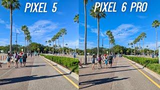 Google Pixel 6 Pro vs Pixel 5 Camera Test: Better or Worse?