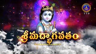 శ్రీమద్భాగవతం | Srimad Bhagavatham | Kuppa Viswanadha Sarma | Tirumala | 21-05-2024 | SVBC TTD