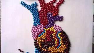 Anatomical heart in M&M's- medical illustration