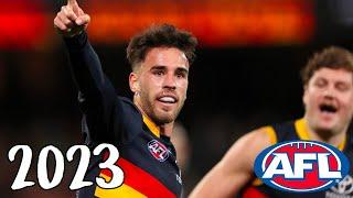 Lachlan Murphy 2023 AFL Highlights