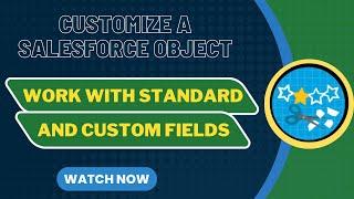 Salesforce Trailhead - Work with Standard and Custom Fields