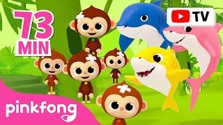 [TV for Kids]  BEST Monkey Banana Dance X Baby Shark! | Summer Outdoor Playlist | Pinkfong for Kids