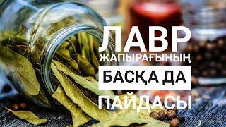 ЛАВР жапырағының ДӘМІНЕН басқа да пайдасы