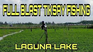 FULL BLAST TIKSAY FISH HUNTING PHILIPPINES | LAGUNA LAKE
