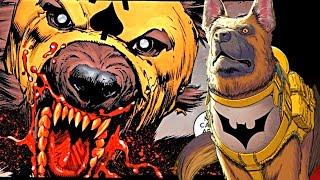 Ace The Bat Hound Origins - Batman’s Best Friend, His Aide, His Dog's Exceptional Backstory Explored