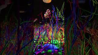 Portal Hopping Tour | Immersive Art Grapevine, Texas | Meow Wolf