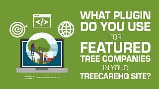 What Plugin Do You Use For Featured Tree Companies In Your TreecareHQ Site?