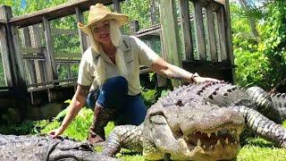 Gatorland's Savannah Boan gives voice to alligators