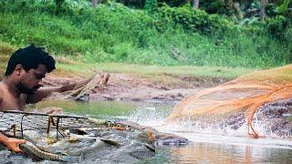 fishing at river  | fishing on river A village Fishing Vlog MalluMatic