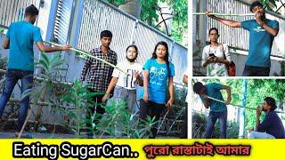 EATING SUGARCANE IN PUBLIC | Bangla New Funny Prank Video | Prankchor