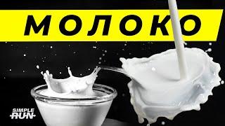 Эликсир здоровья или яд?  Секреты молока 