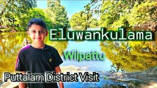 Amazing Sceneries  | Adventures in Eluwankulama | Kala Oya River | Kayjay Wild wilpattu Resort