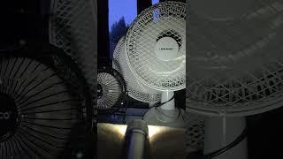 torch fan