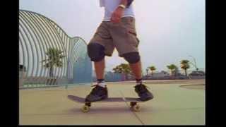 Skate Tony Hawk's Trick Tips Vol  1