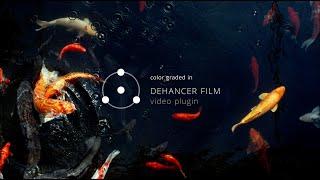 Dehancer Film OFX video plugin for Davinci Resolve