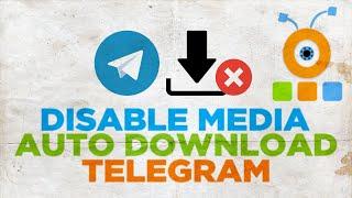 How to Disable Media Auto Download in Telegram on PC