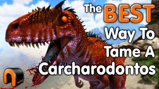 Ark How To Tame A Carcharodontosaurus AMAZING REAL WAY!