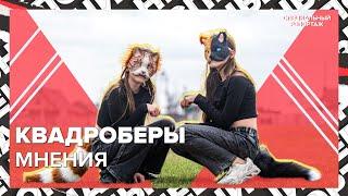 КВАДРОБЕРЫ: хайп или болезнь? | Мнения психологов | Специальный репортаж