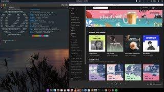 How to Install Spotify on Elementary Juno and manage snap applications in linux