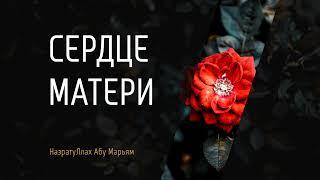 Сердце матери - Назратуллах Абу Марьям