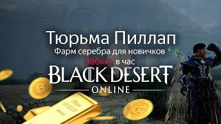 Фарм серебра для новичков | 160кк+ в час | Тюрьма Пиллап | Сезон 2021 (Осень) | Black Desert Online