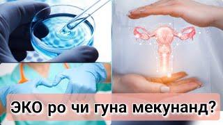 ЭКО. Намудхои ЭКО. Дар кадом холат мекунанд? #намудхоиэко #хаётисолим