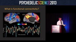 Brain Imaging Studies with Psilocybin and MDMA - Robin Carhart-Harris