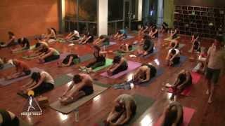 Balanced Yin Yoga | 60-Minute Full Body Restoration with Travis Eliot
