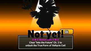 3 things you should do before going on Into The Future Chapter 2! (Battle Cats)