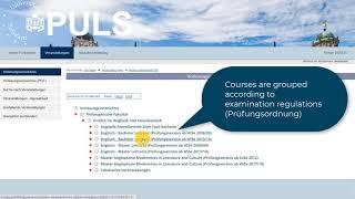 How to use PULS - for international program students at the University of Potsdam