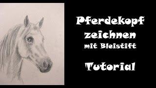 Pferd zeichnen lernen mit Bleistift: Pferdekopf [Teil 1 ohne Farbe]