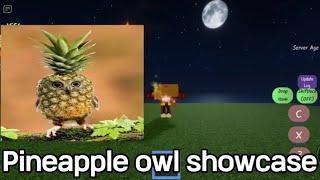 [Meme adventure]Pineapple owl showcase