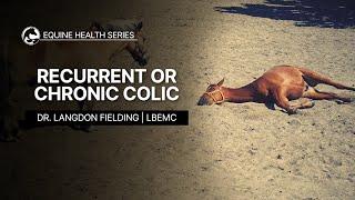 Recurrent or Chronic Colic in Horses
