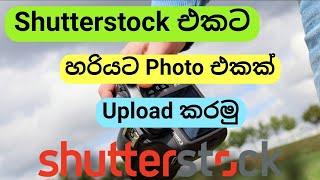 How to Upload Photos to Shutterstock | Shutterstock contributor | Online money Sinhala